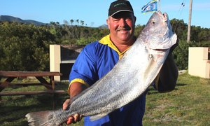 Laaste hengel vir OB Kushengel